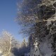 04122010447