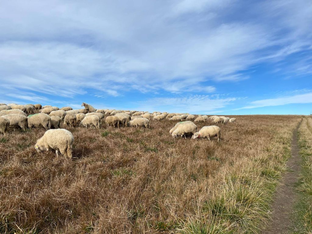 556950772_1389025083230184_2074267355069118626_n