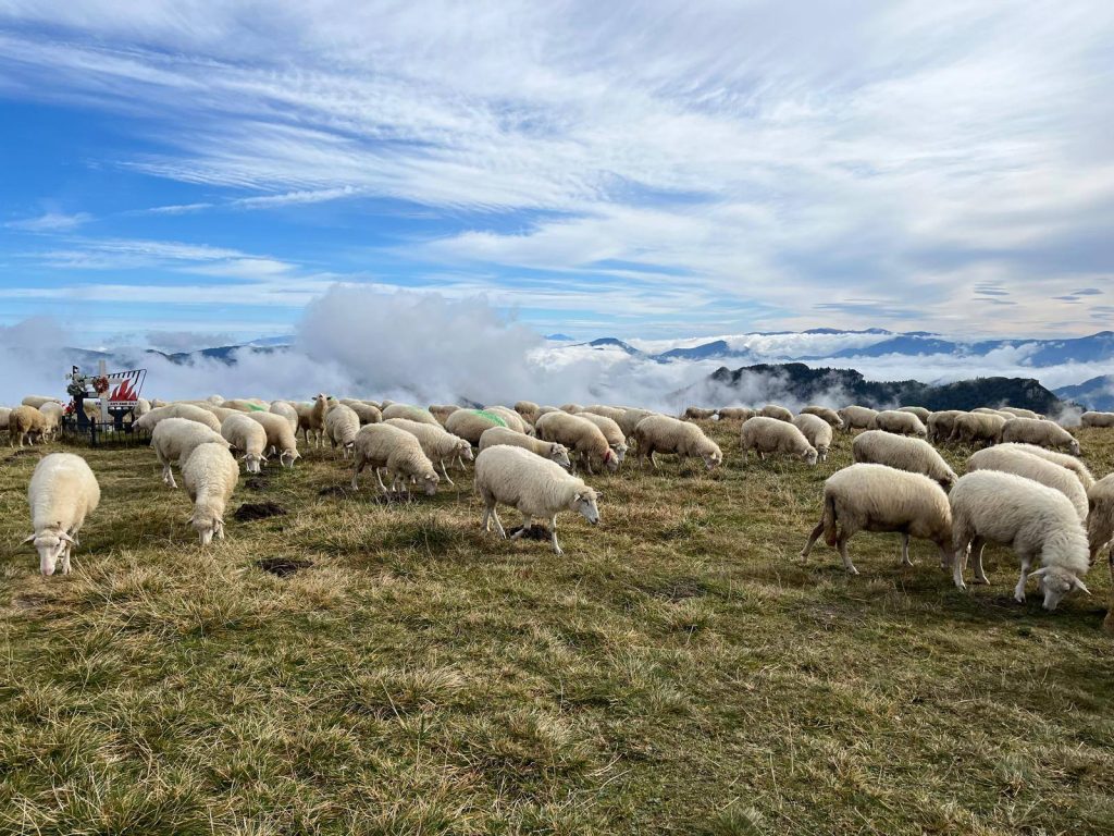 557544401_1389024826563543_6792998047568565102_n