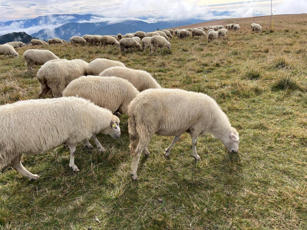 557605786_1389024913230201_1850548999355020123_n