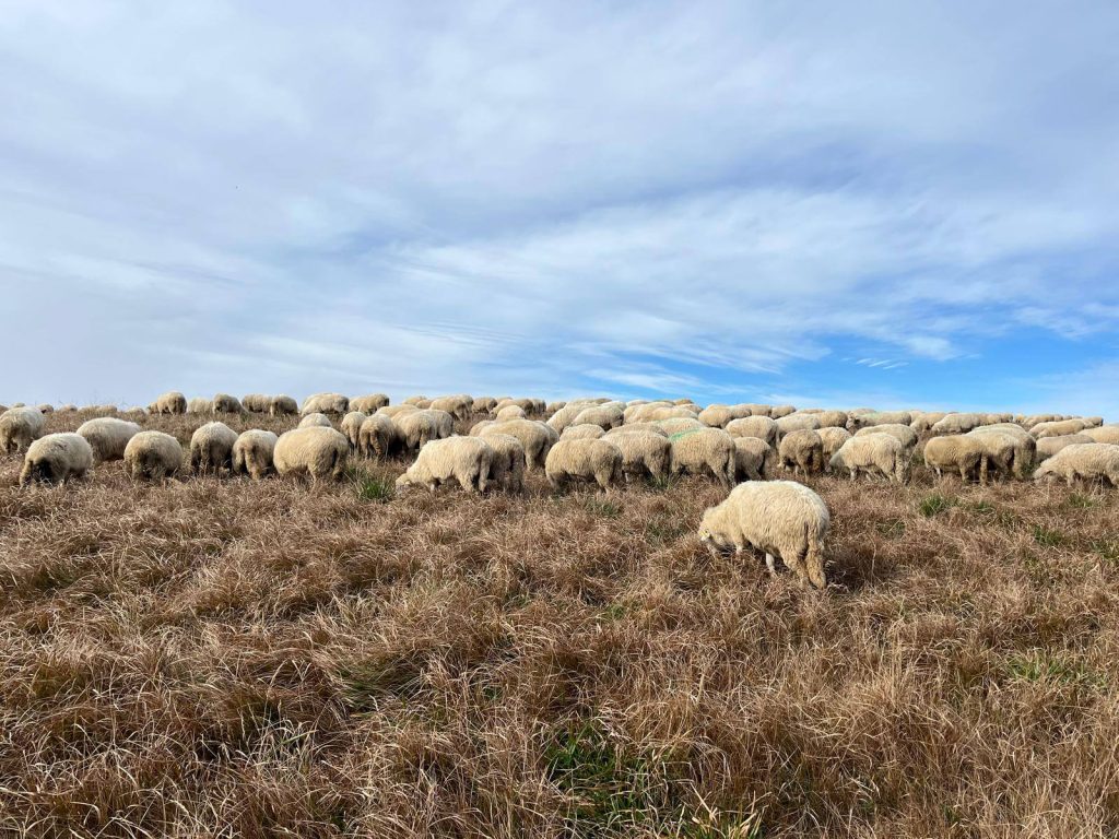 557650356_1389025129896846_5449754502496153552_n