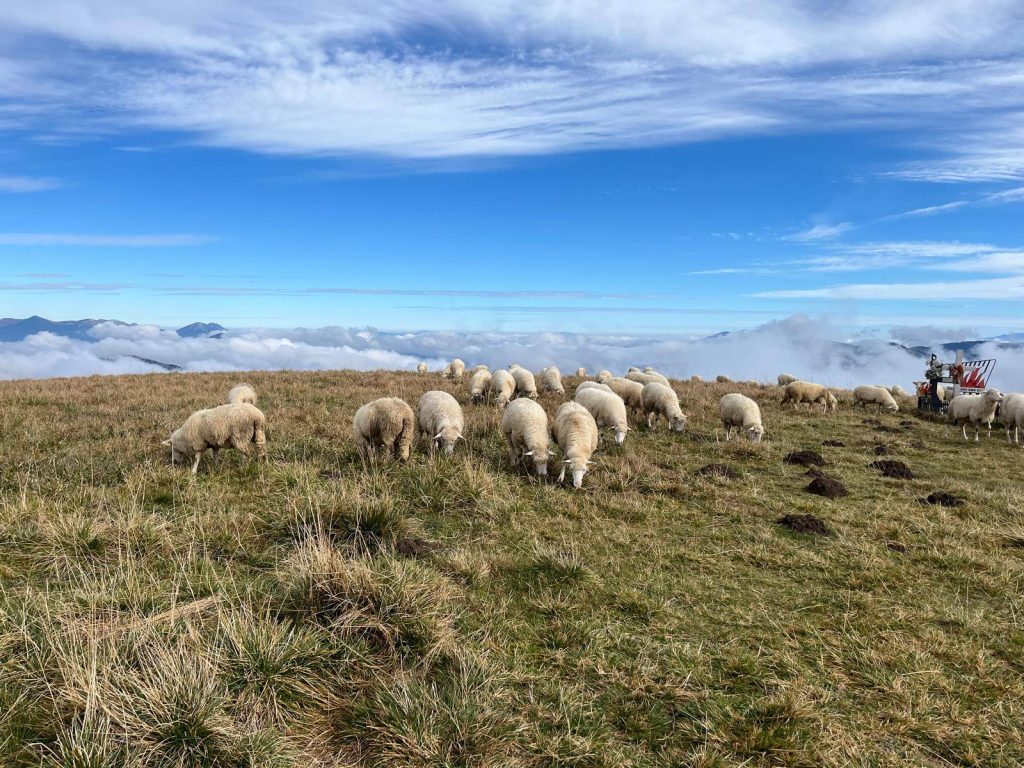 557652622_1389024789896880_3329587492518041254_n