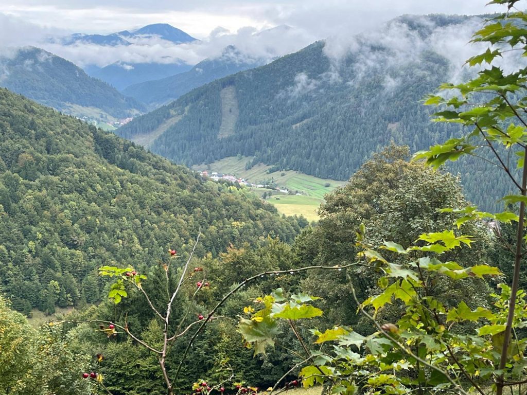 557964089_1389025166563509_8041855554874402195_n